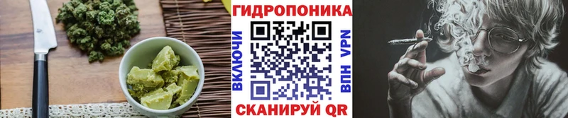 Canna-Cookies конопля Миньяр