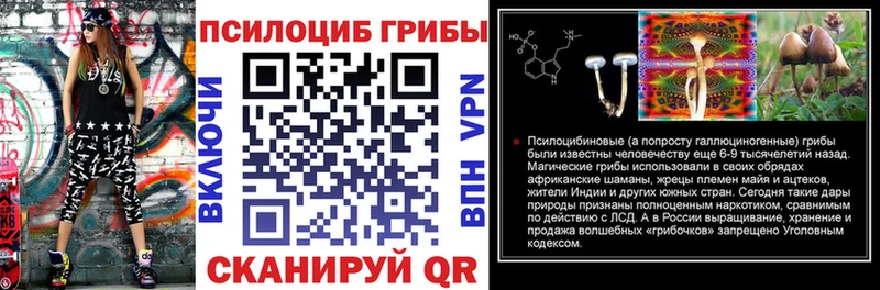 Купить  Миньяр  Псилоцибиновые грибы GOLDEN TEACHER 