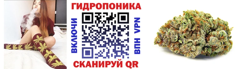 Купить где Миньяр Конопля MAZAR
